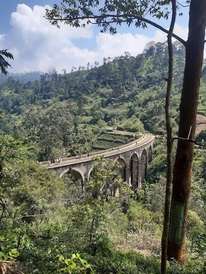 Nine arch bridge Ella