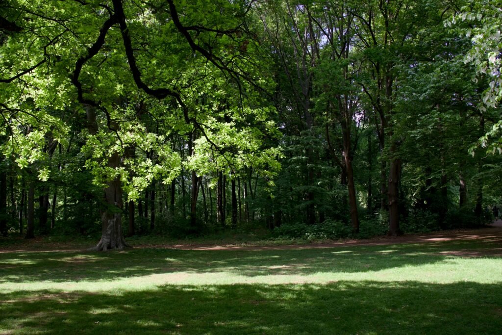 Tiergarten Berlijn favoriete plekken